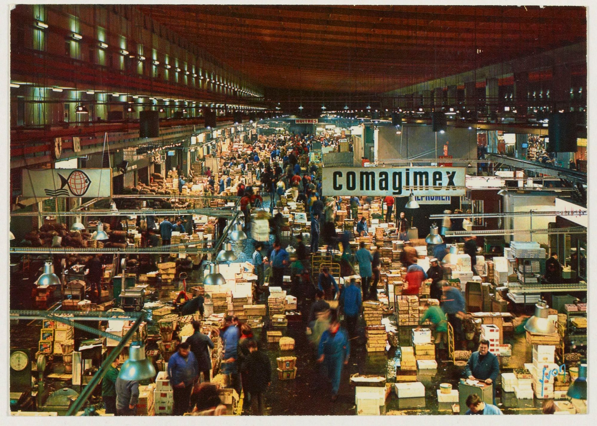 Programme semestriel des activités