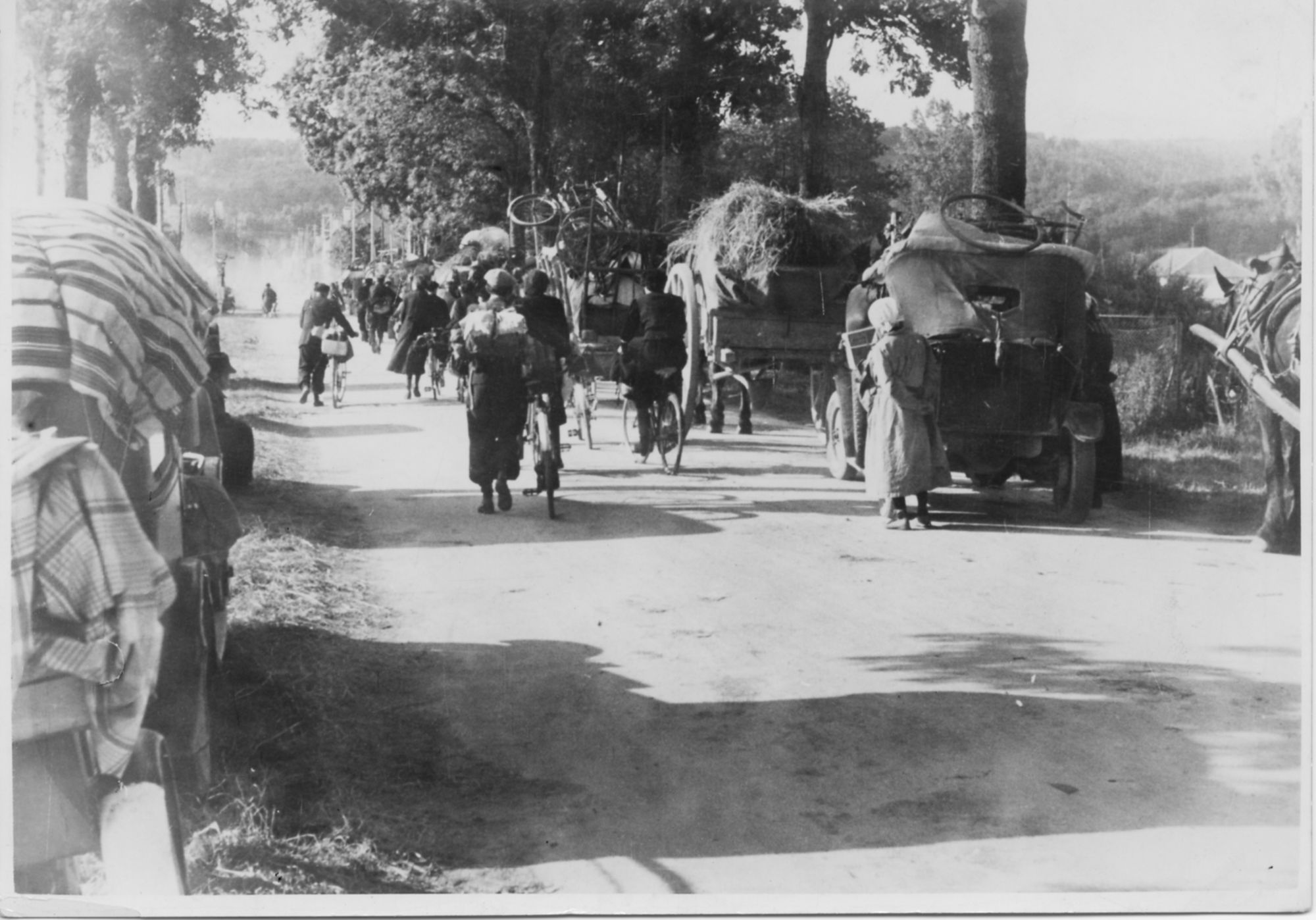 Le Val-de-Marne et les Val-de-Marnais dans la Seconde Guerre mondiale : une mise en perspective