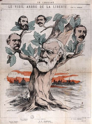 "Le vieil arbre de la libérté". 