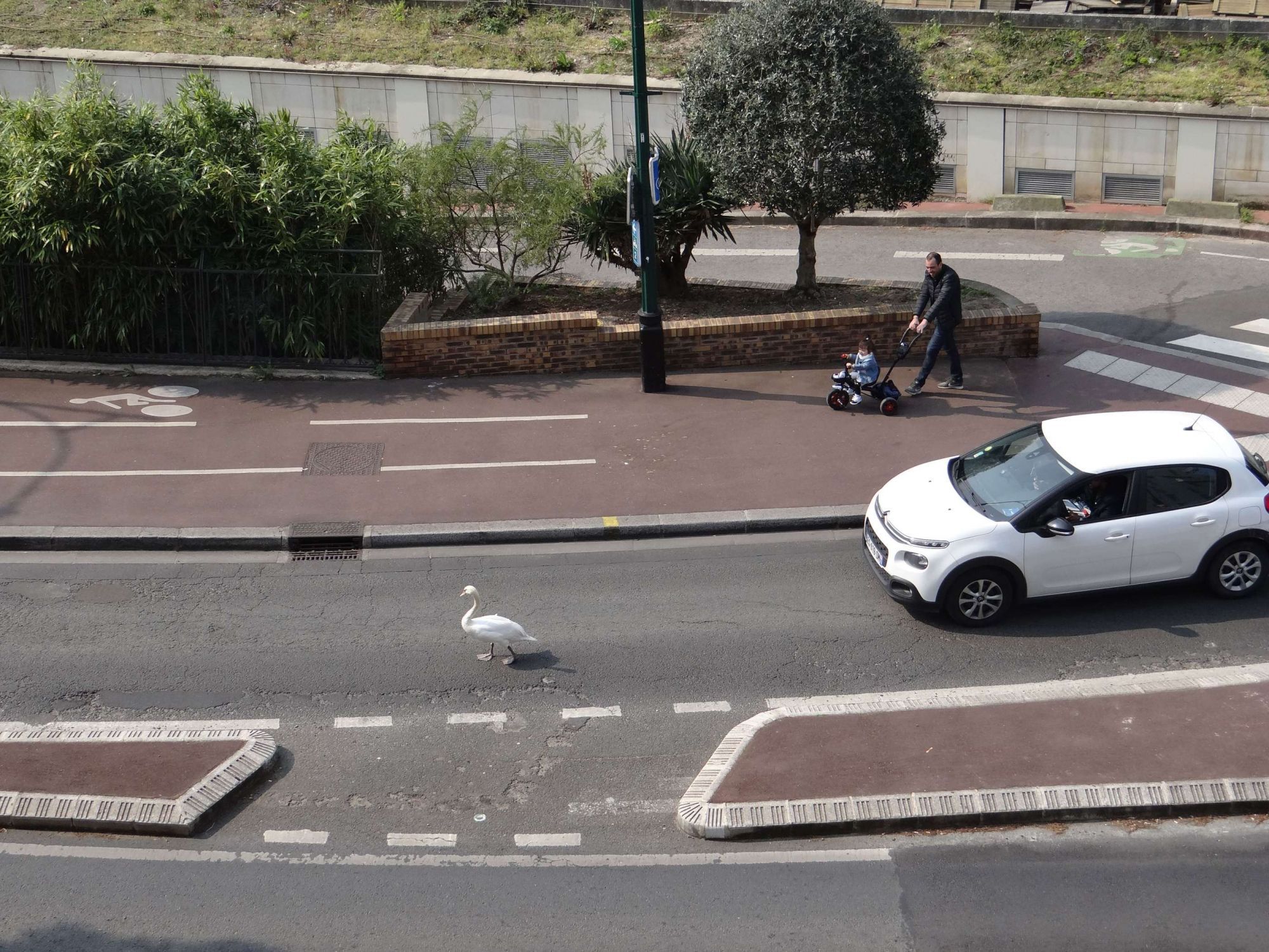 Les situations insolites liées au confinement